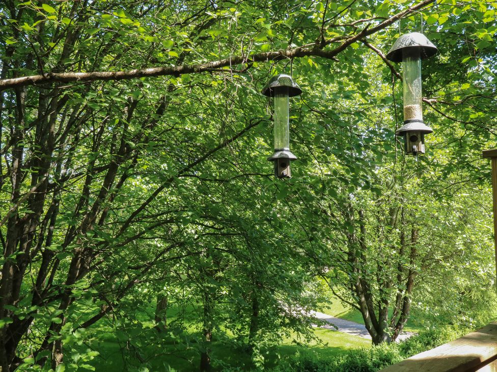 Two bird feeders hanging from a tree branch with surrounding greenery and a path in the background at Treetops in Southerton