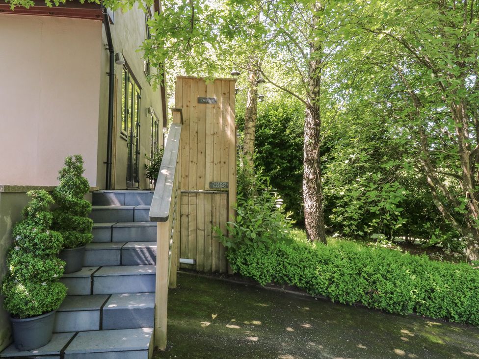 An outdoor stairway with potted topiary plants next to a wooden fence and green leafy trees at Treetops in Southerton