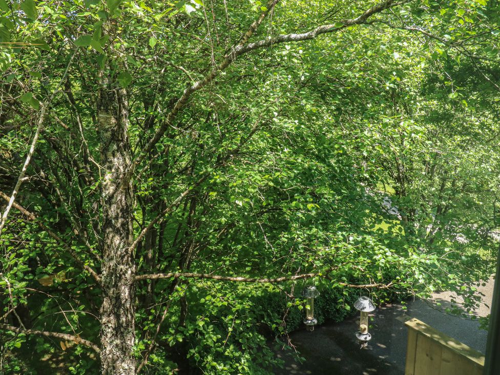 A view of green leafy trees with bird feeders hanging at Treetops in Southerton