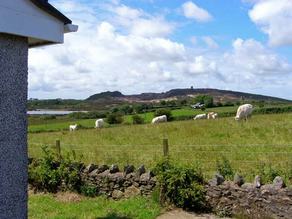 Godre Parys - Anglesey - 16770 - thumbnail photo 10
