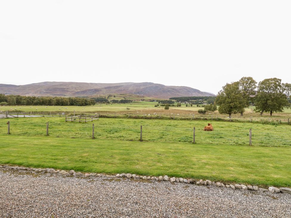 Creag-na-Sanais - Scottish Highlands - 1701 - thumbnail photo 30