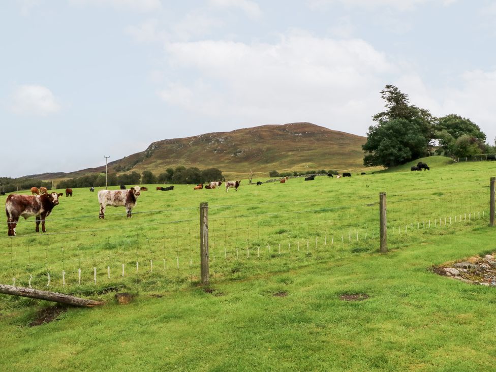 Creag-na-Sanais - Scottish Highlands - 1701 - thumbnail photo 34