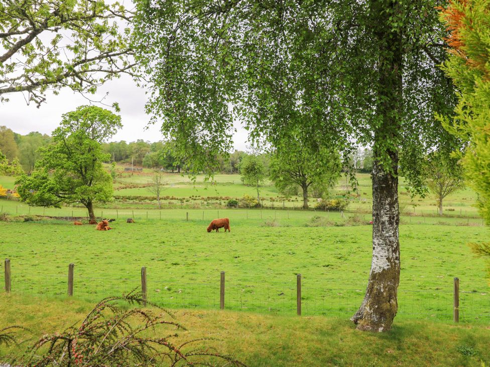 The Four Oaks Chalet - Scottish Highlands - 17209 - thumbnail photo 23