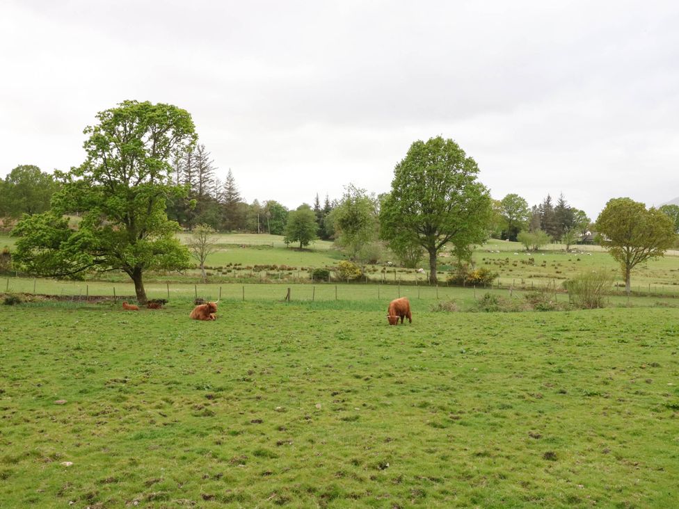 The Four Oaks Chalet - Scottish Highlands - 17209 - thumbnail photo 24
