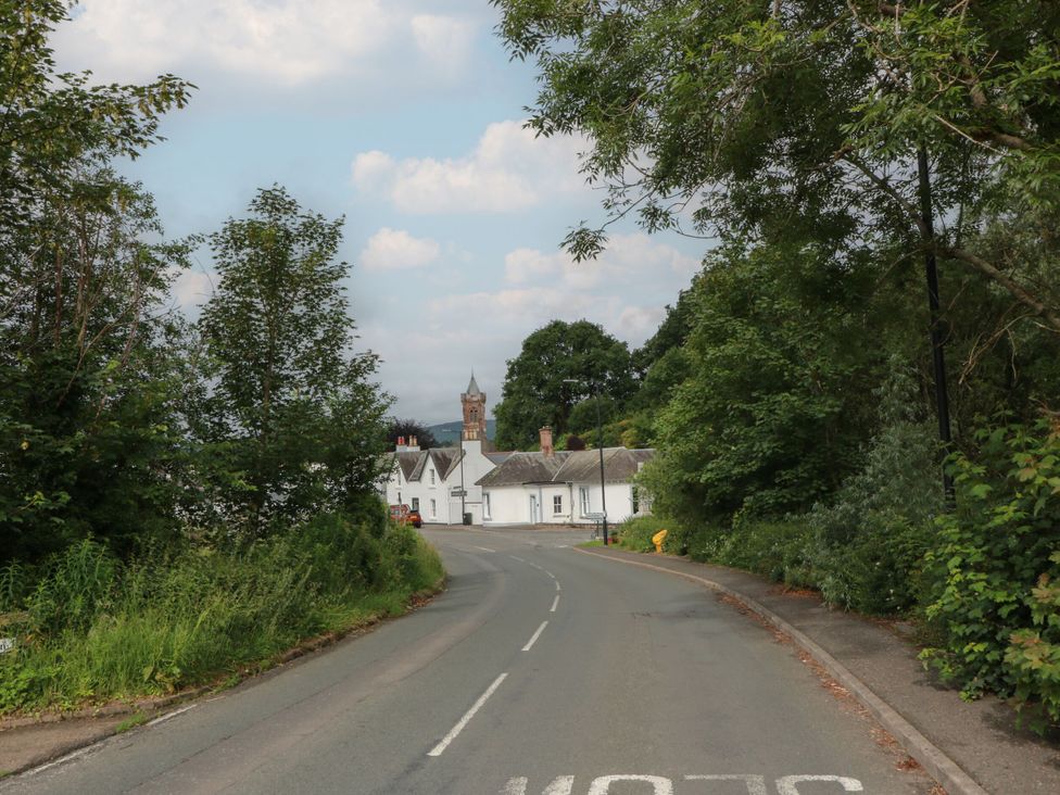 A road leading to houses with trees and a lamp post at The Old Brewery Store in Gatehouse Of Fleet