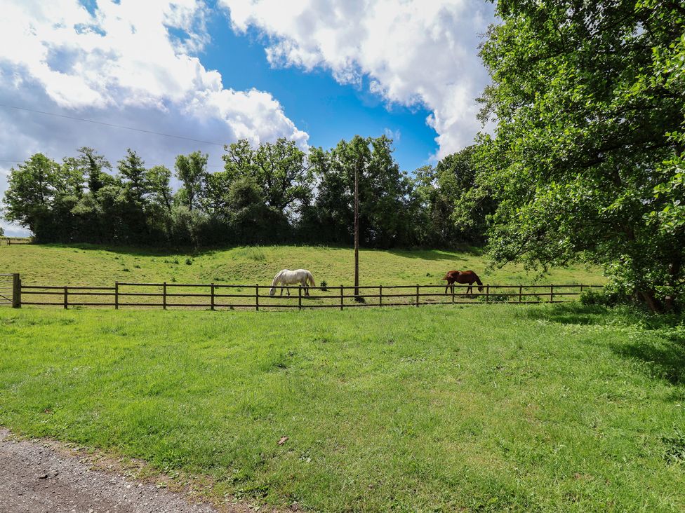 Two horses grazing in a field at Wolvesacre Mill Cottage Agden near Whitchurch