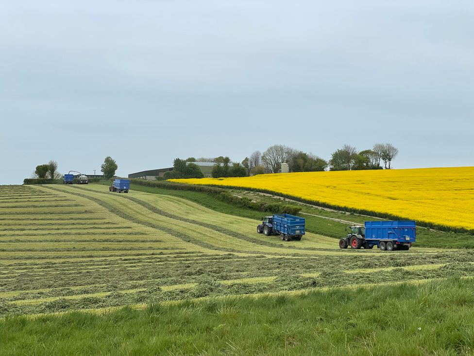 Tractors working in a field with yellow flowers at an unspecified location