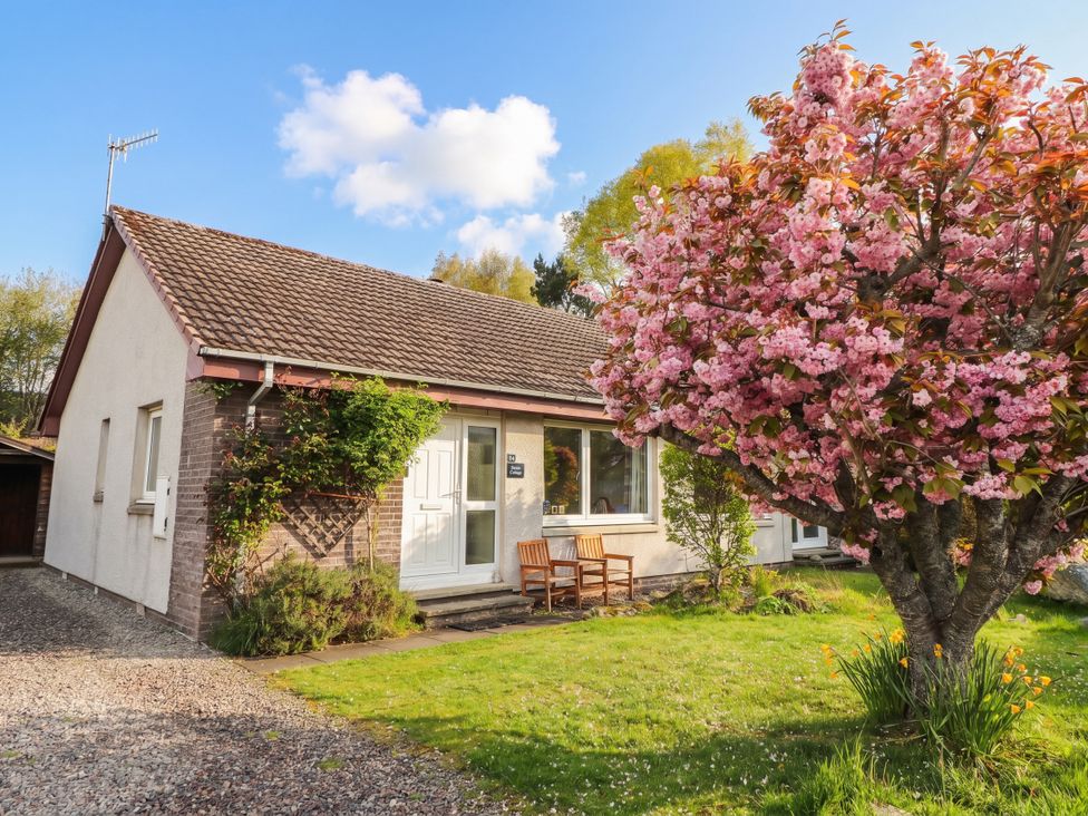 A house with a flowering tree and bench at Steam Cottage in Aviemore