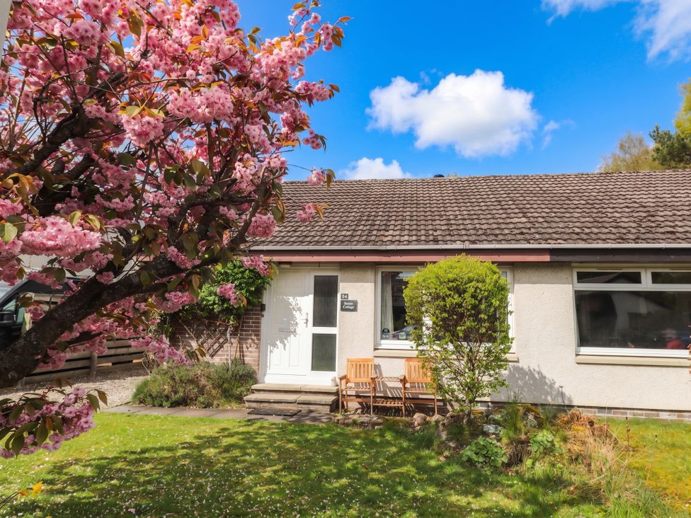 A house with a bench and plants at Steam Cottage in Aviemore