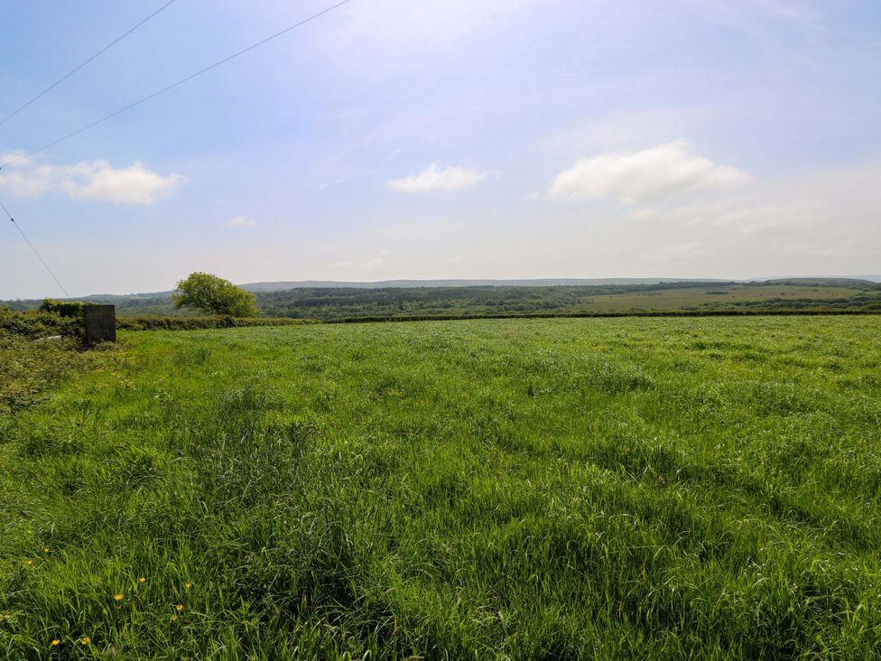 A field with grass and a tree at The Stall Penuel near Llanmorlais