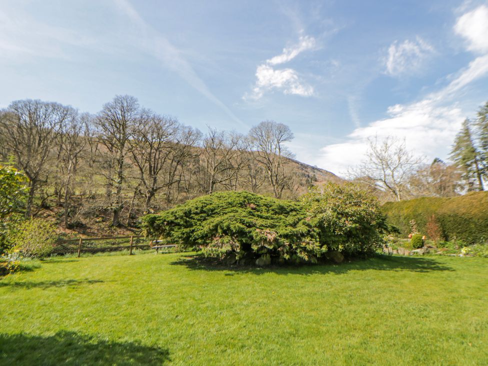 A garden with a large bush and trees at Riverside Cottage Llanwrthwl near Rhayader