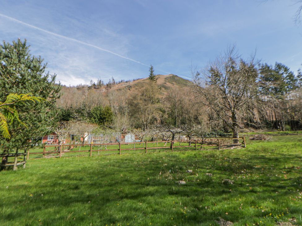 A field with trees and a mountain in the background at Riverside Cottage Llanwrthwl near Rhayader