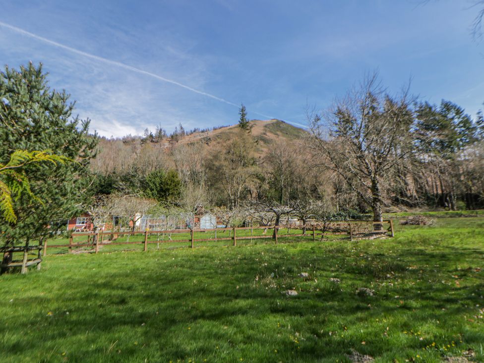 A garden with grass and trees near a mountain at Gardener's Cottage in Llanwrthwl near Rhayader