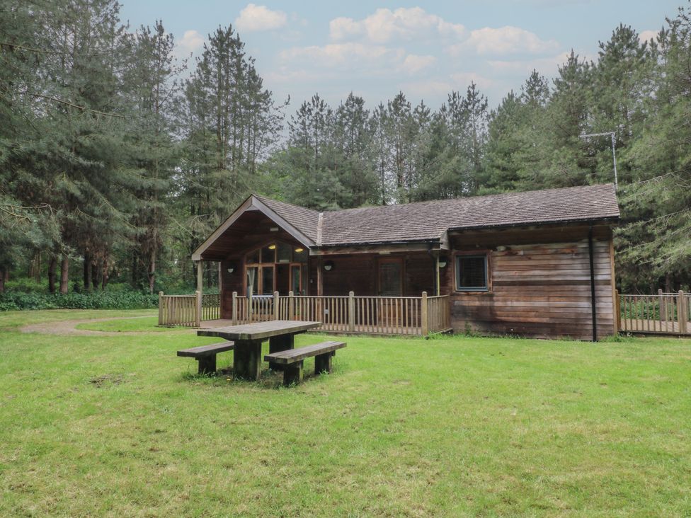 A wooden cabin with a picnic table on grass surrounded by trees at Birch Lodge in Rosliston