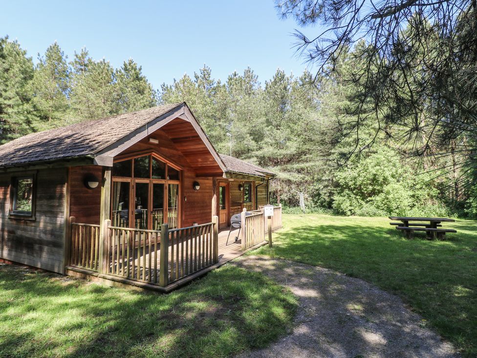 A wooden lodge with a fenced porch surrounded by trees and a picnic table on grass at Birch Lodge in Rosliston