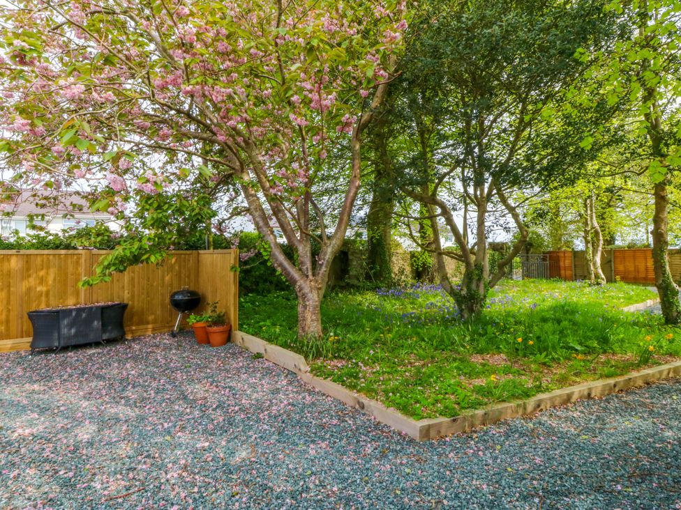 A garden with trees and gravel area at Ty Taid in Llanddaniel Fab near Beaumaris