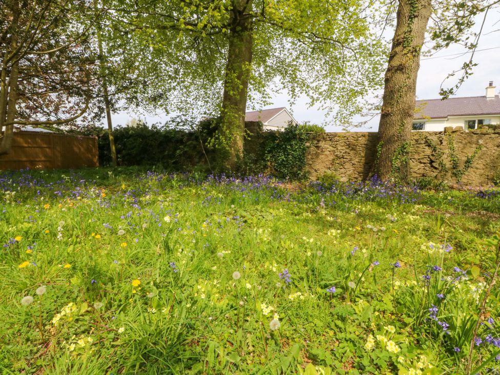 A garden with trees and flowers at Ty Taid in Llanddaniel Fab near Beaumaris