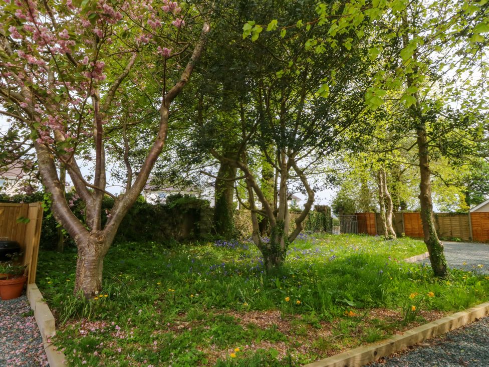 A garden with trees and grass at Ty Taid in Llanddaniel Fab near Beaumaris