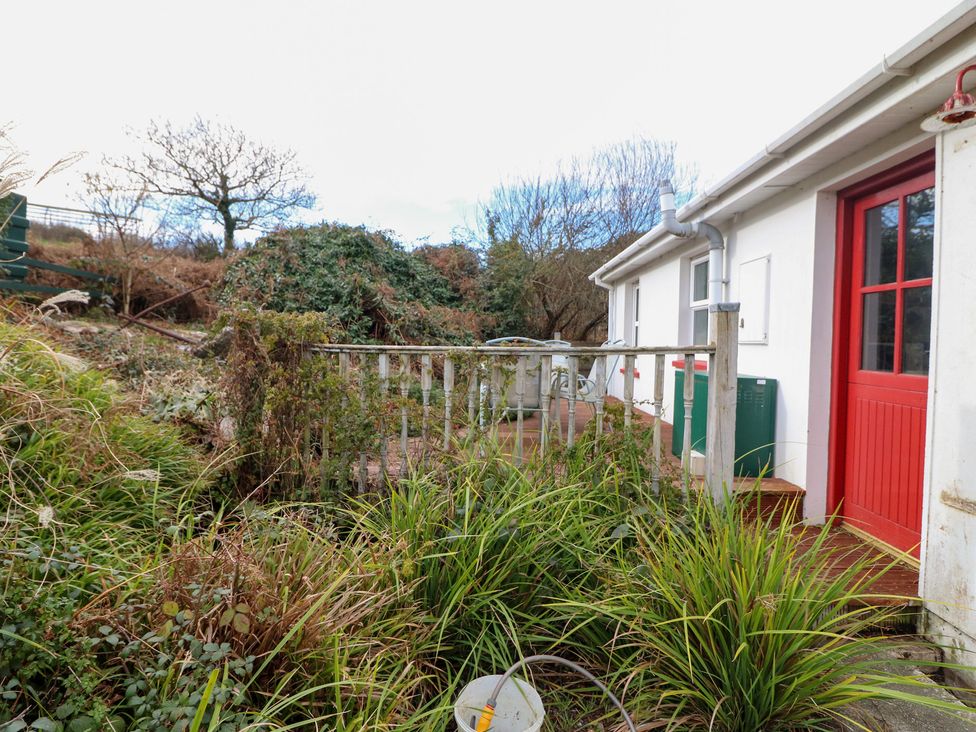 A garden view with plants and a door at Herons Cove Cottage Ballydehop