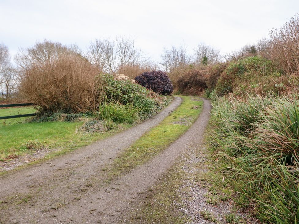 A gravel path with bushes and trees at Herons Cove Cottage Ballydehop