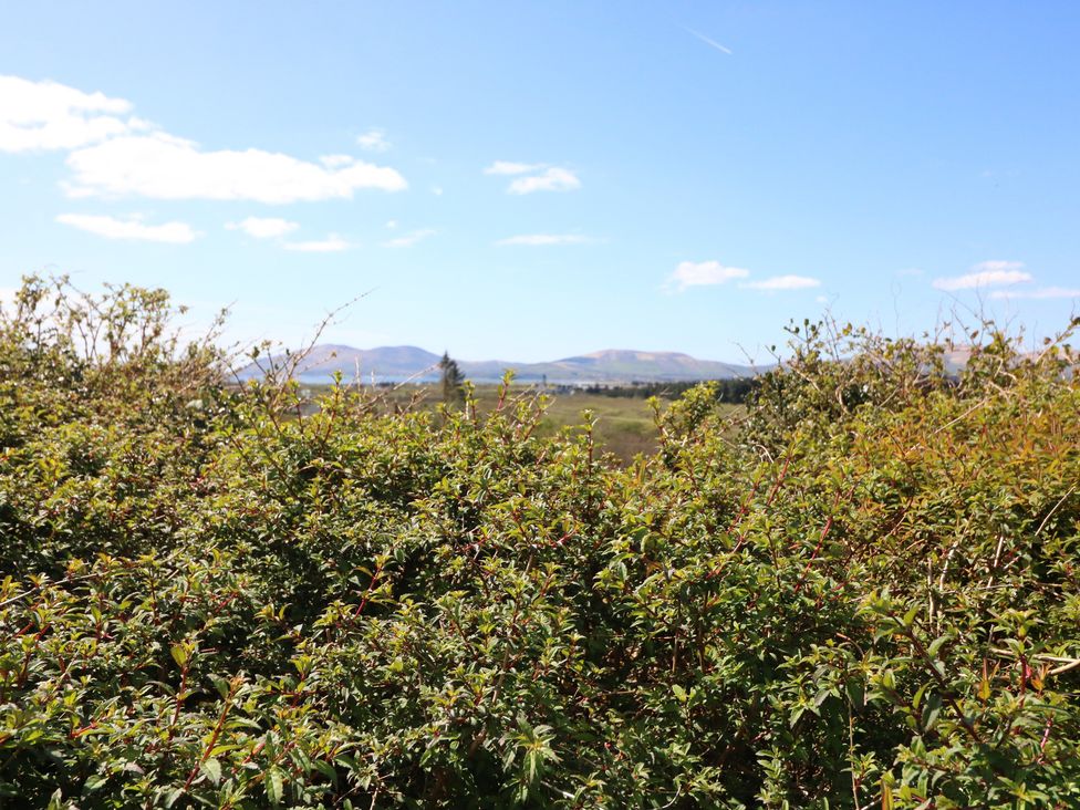 A landscape view with bushes and mountains at Fuschia Cottage, Waterville, County Kerry