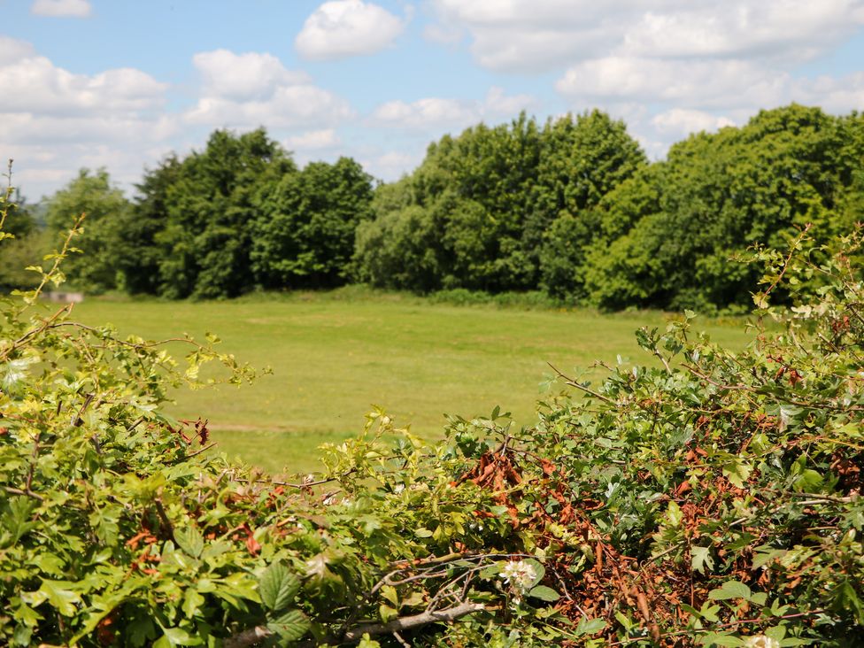 Basford View - Peak District & Derbyshire - 25258 - thumbnail photo 21