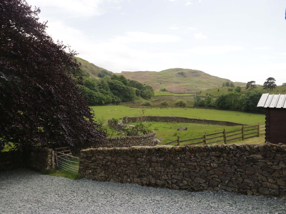A view of a green hillside with stone walls and trees at Copper Beech Cottage in Torver