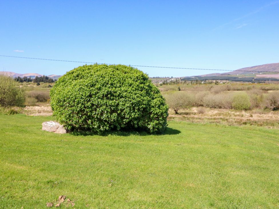 A bush and rock in a grassy field with mountains in the background at Stone Cottage in Waterville, County Kerry
