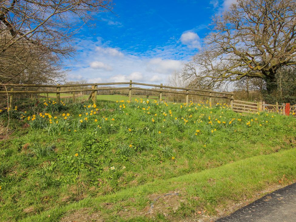 A field with daffodils and a wooden fence at Trooper's Barn in Westhope