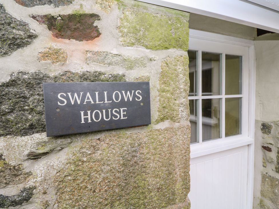 Swallows - Cornwall - 26701 - thumbnail photo 2