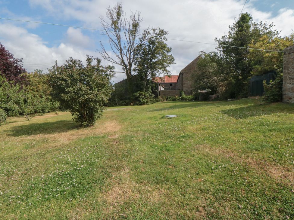 A garden with grass and trees at 1 Brow Cottages Green End near Goathland