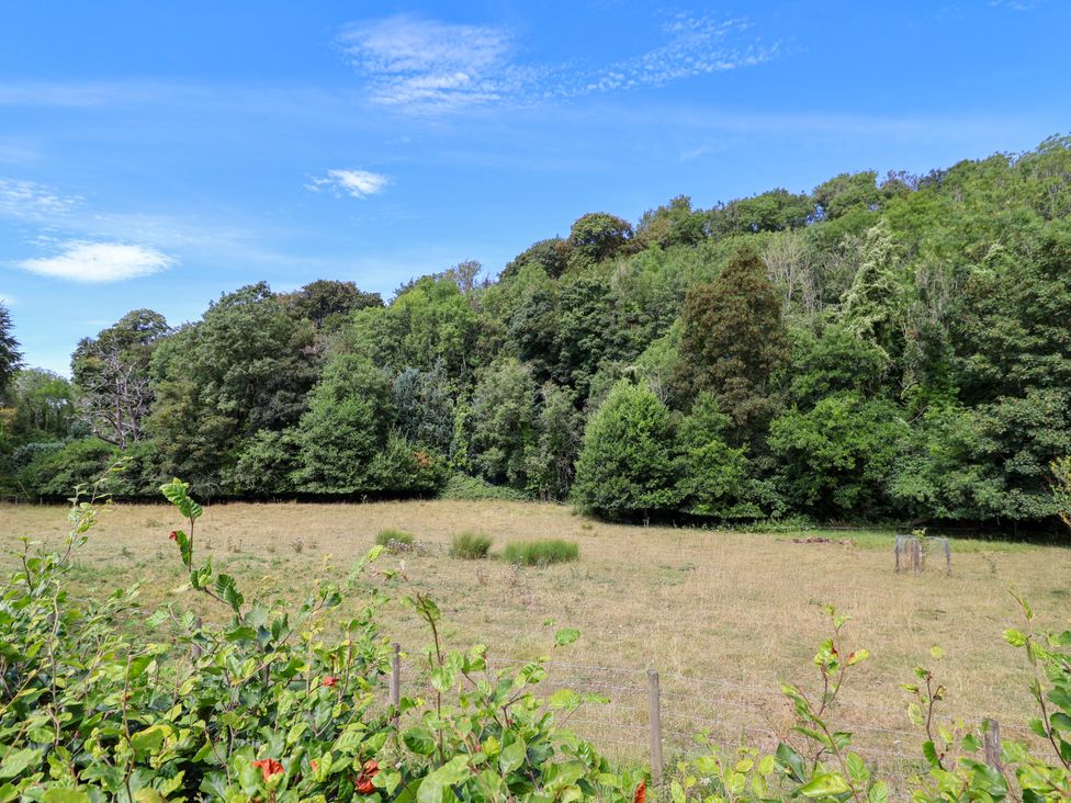 A field with trees and a clear sky at The Lambing Shed in Dyserth near Prestatyn