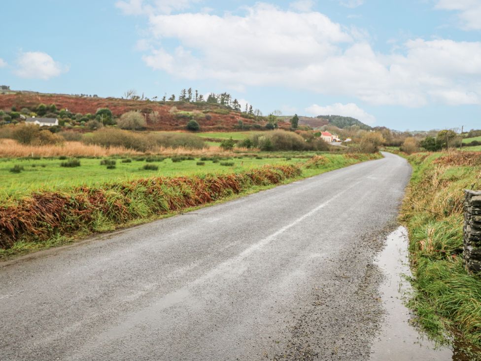 A road with grassy fields and houses at Lough Cluhir Cottage Union Hall County Cork