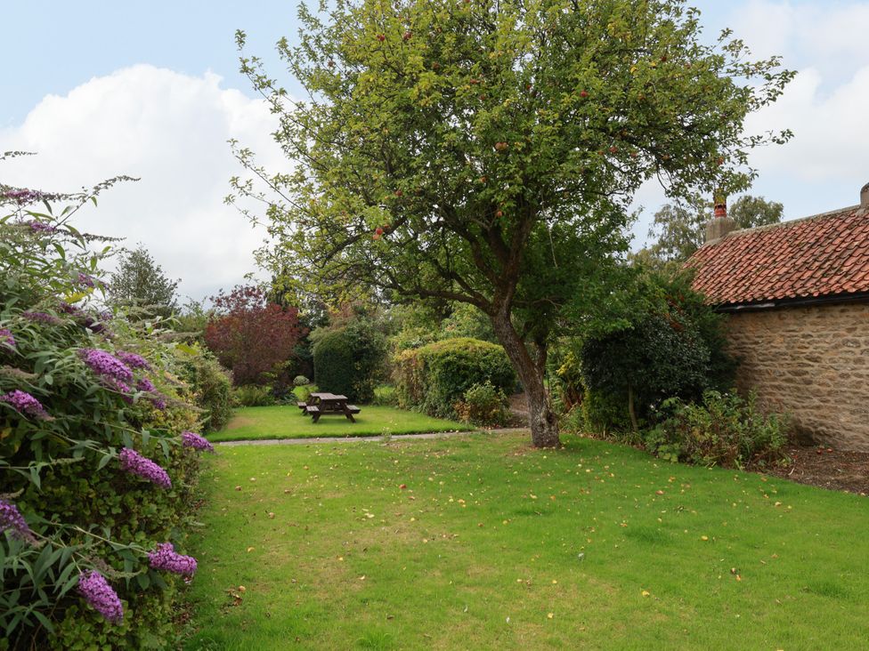 A garden with a tree and picnic table at The Lodge Snainton near Scarborough