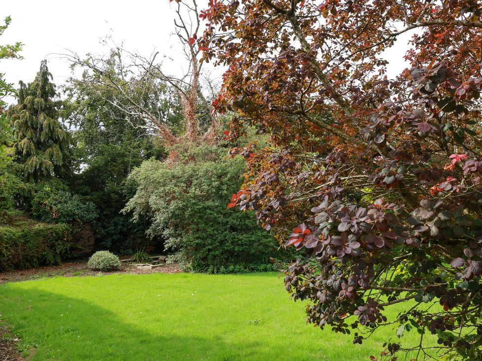 A garden with grass and trees at The Lodge in Snainton near Scarborough