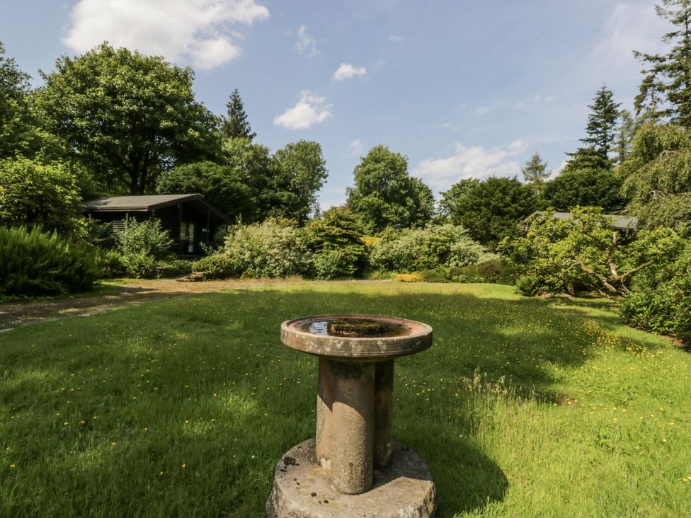 A garden with a birdbath and greenery at Buttermere in Spark Bridge near Greenodd