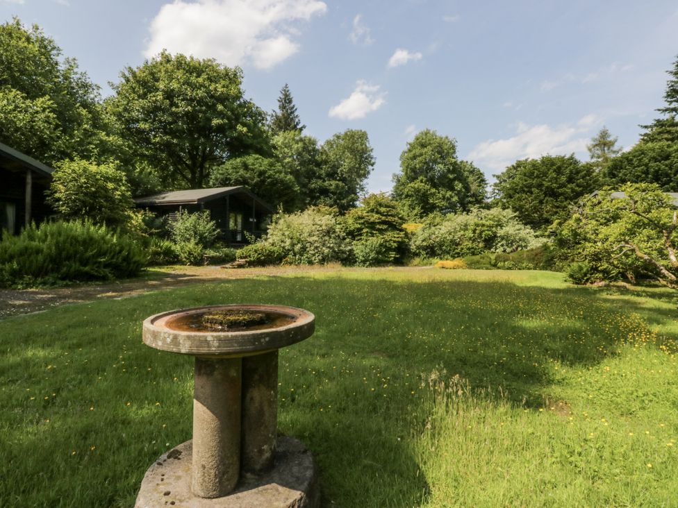 A garden with a bird bath surrounded by grass and trees at Grasmere in Spark Bridge near Greenodd