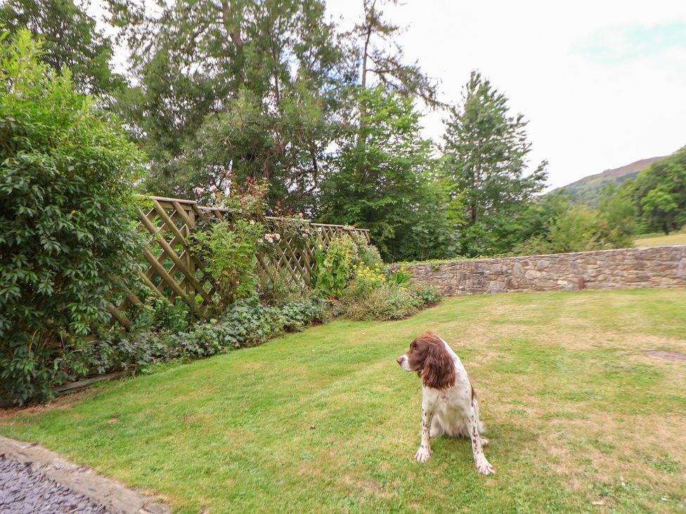 Bryn Howell Stables - North Wales - 3781 - thumbnail photo 35