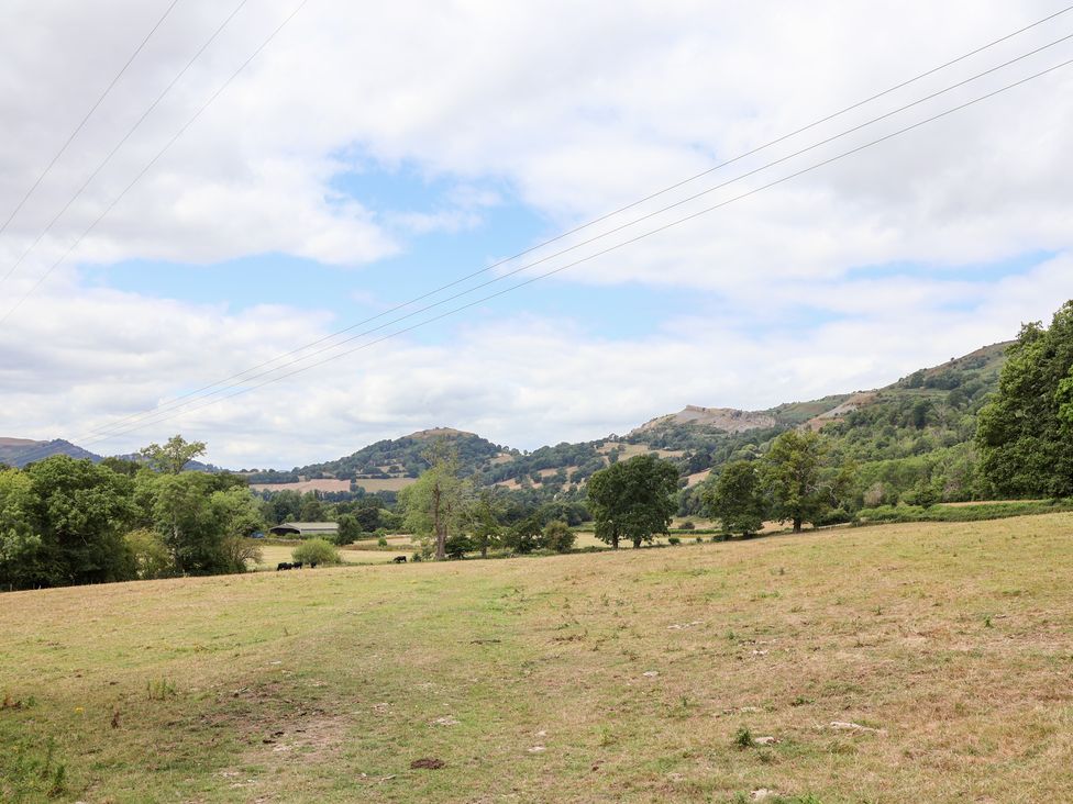 A field with trees and hills in the background at Bryn Howell Stables Trevor near Llangollen
