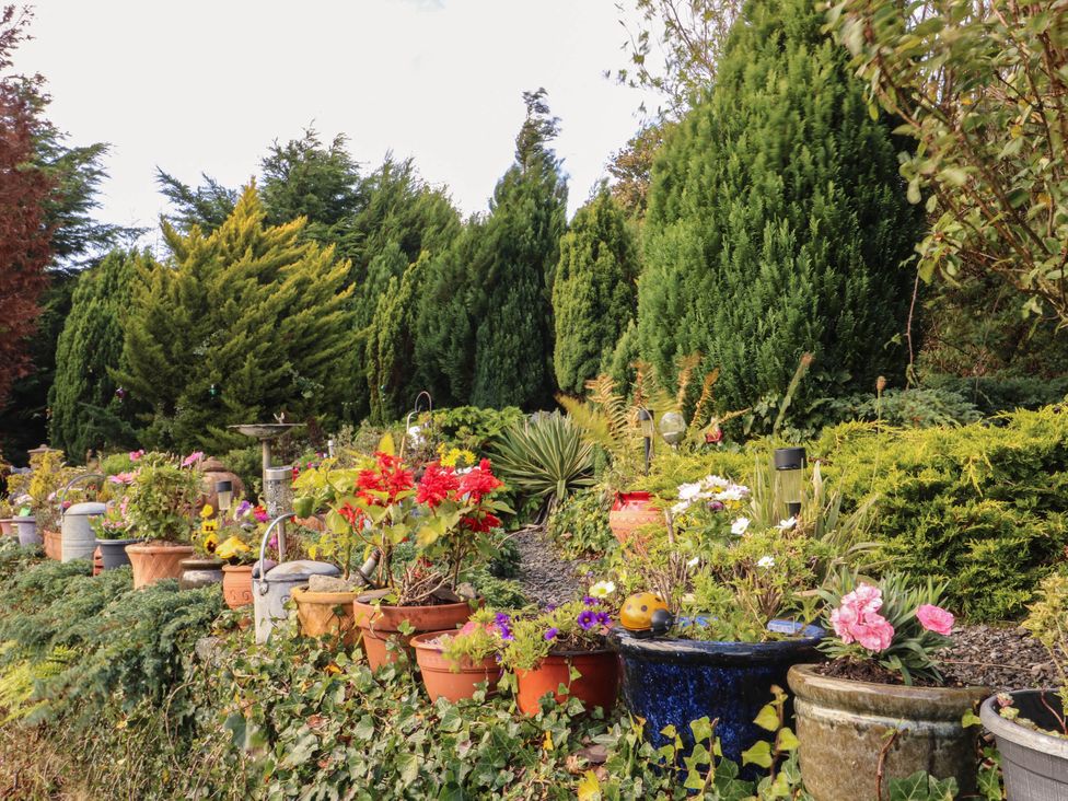 A garden with flower pots and various plants at Crow's Nest Cottage in Tynygongl near Benllech