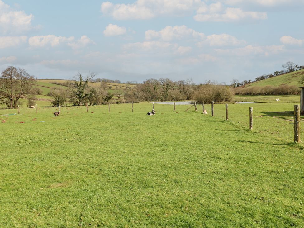 A field with animals and trees at Meadow View in Laugharne