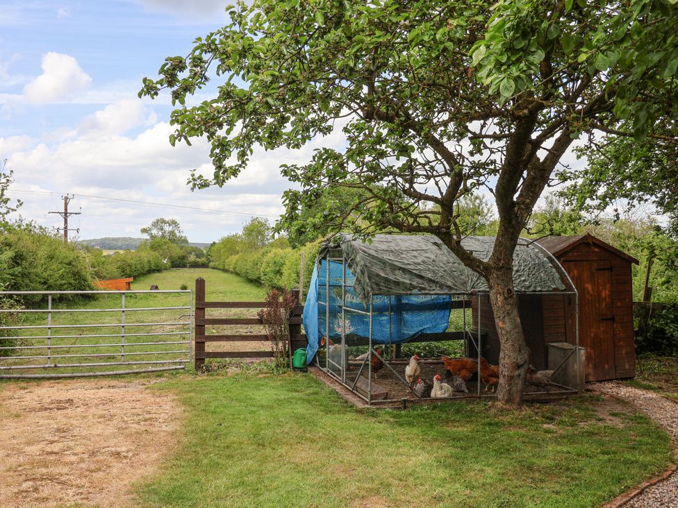 An outdoor area with a chicken coop and gate at Croft Granary Stillington near Easingwold and York