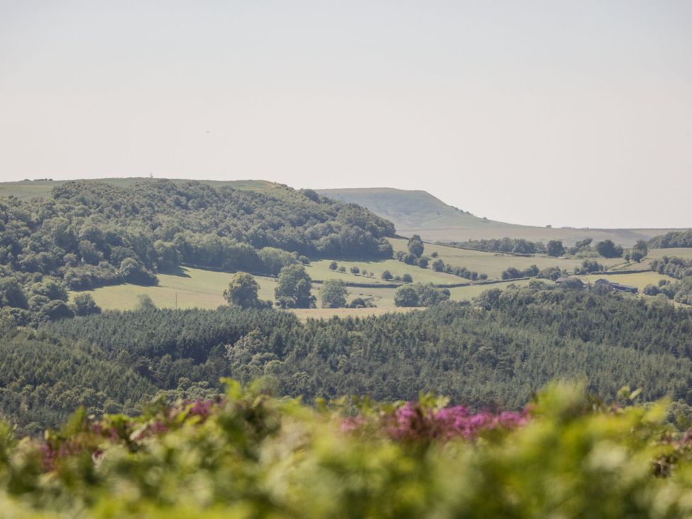 A landscape with hills and trees at Croft Granary in Stillington near Easingwold and York