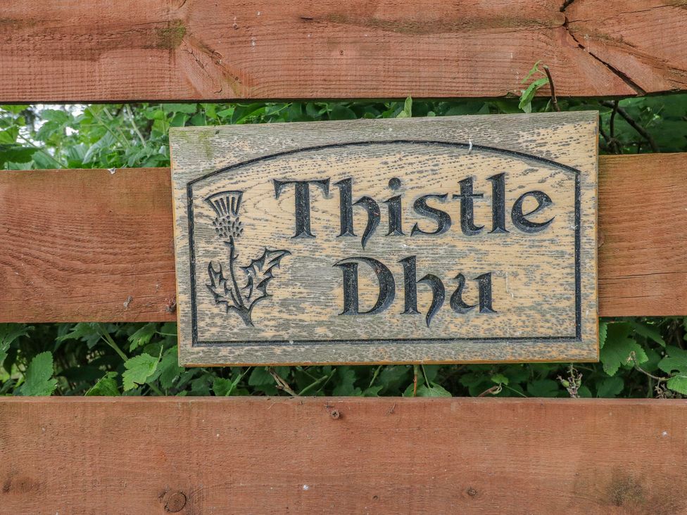 Thistle Dhu - Scottish Highlands - 5914 - thumbnail photo 3