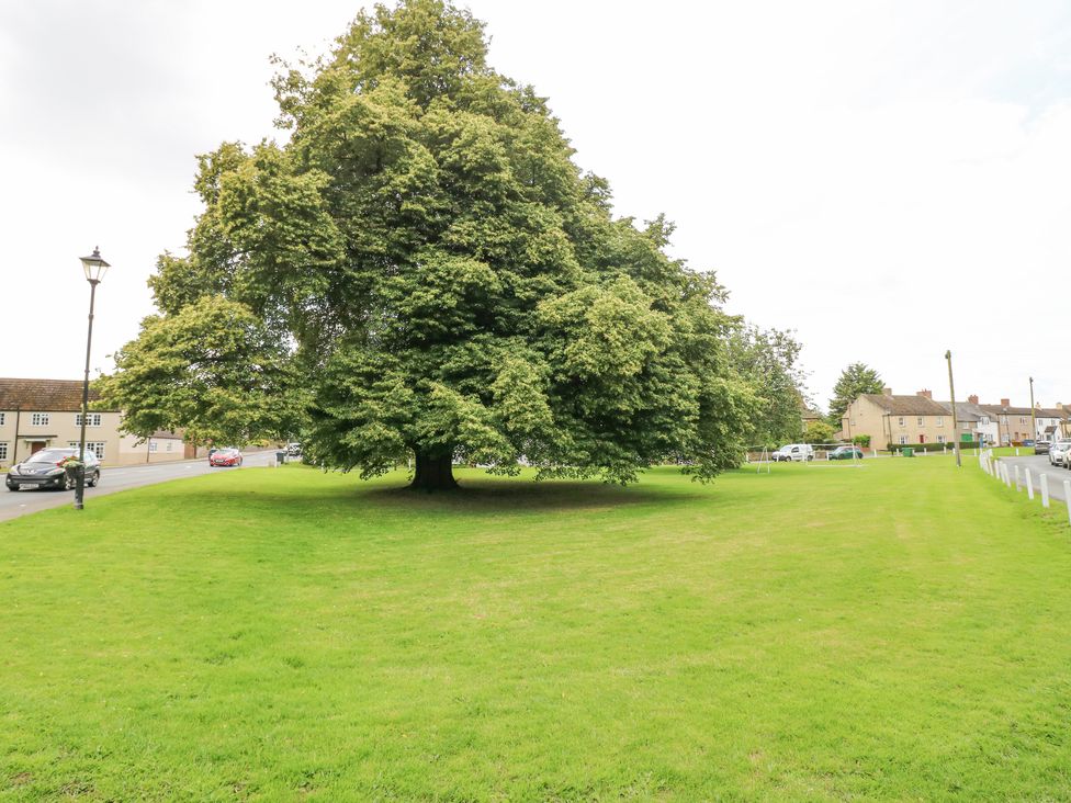 Summer Farm Cottage - Yorkshire Dales - 7902 - thumbnail photo 43