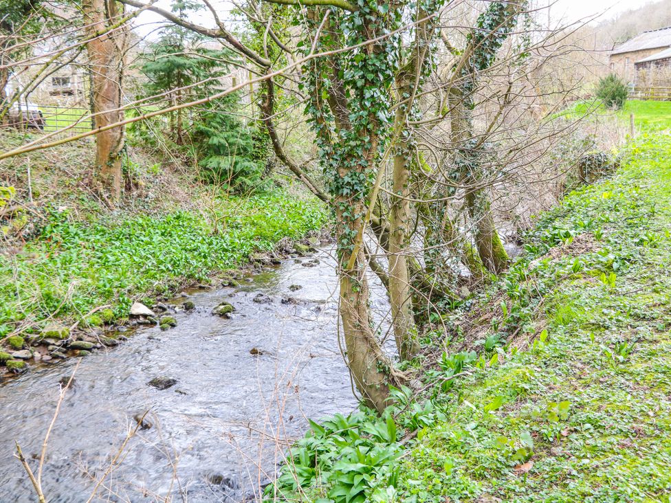 A stream with trees and grass at Little Mill in 