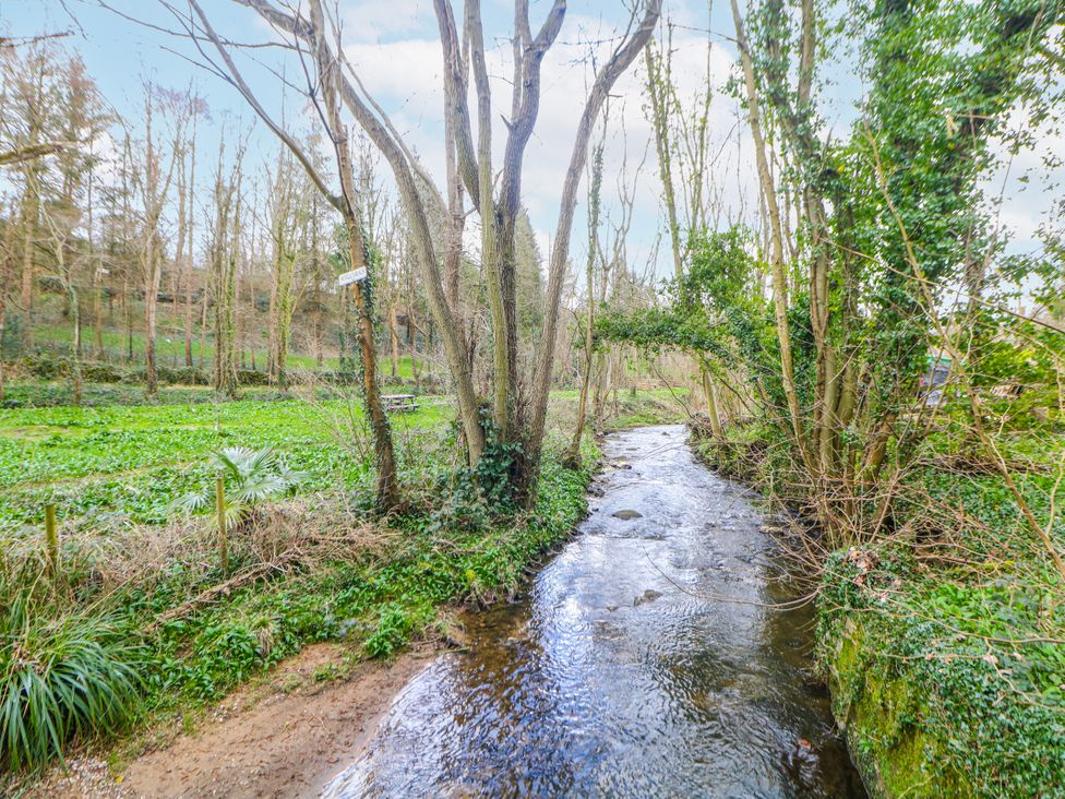 A stream with trees and a path at Little Mill