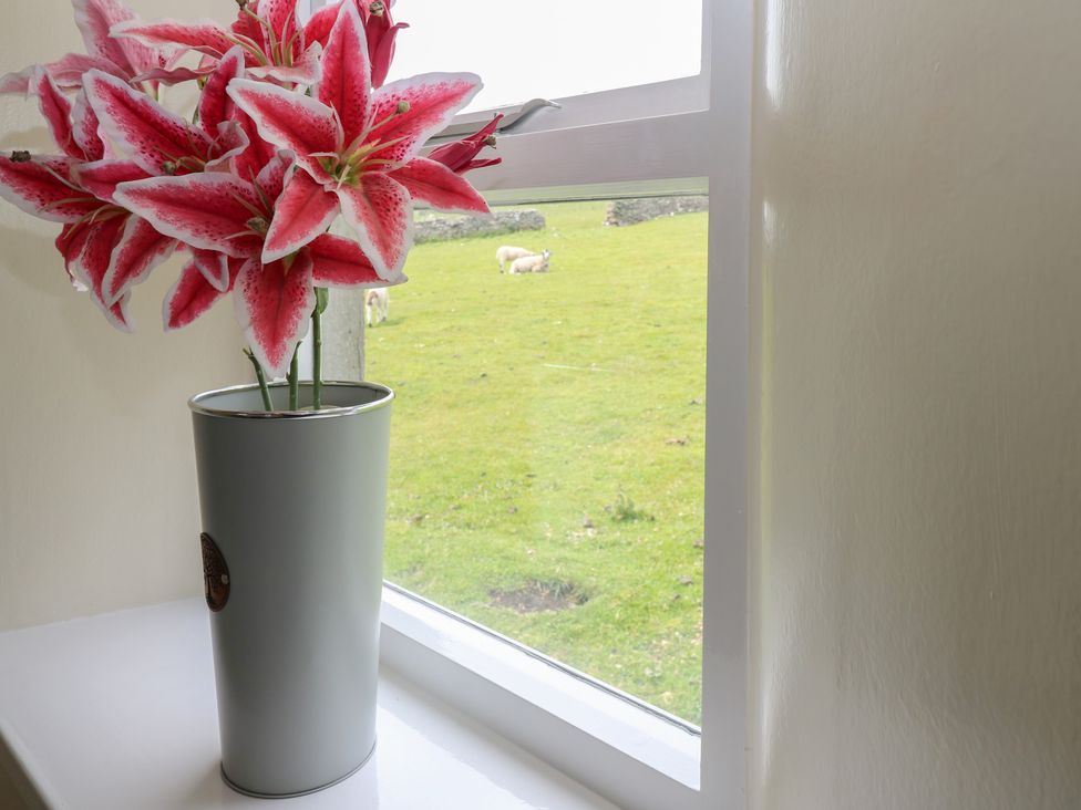 A window with flowers and a view of sheep at High Smarber in Low Row near Reeth
