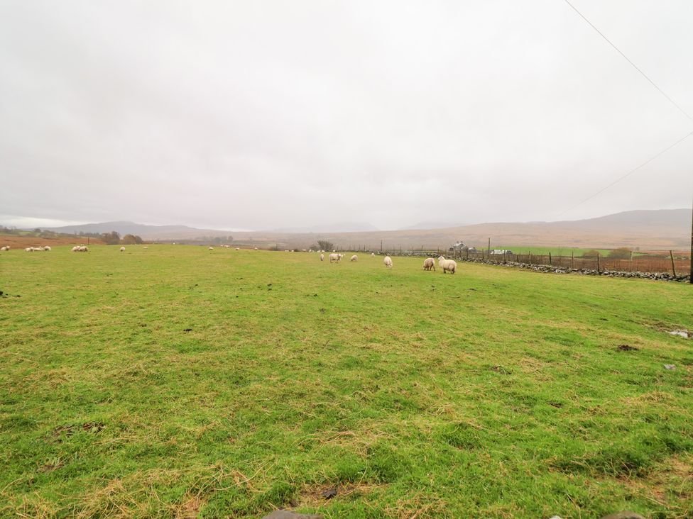 A field with sheep grazing at Bryn Re in Trawsfynydd near Llan Ffestiniog and Dolgellau