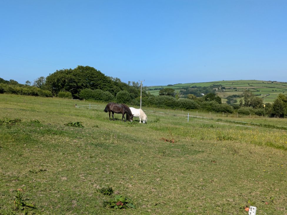 Virvale Barn - Devon - 903601 - thumbnail photo 18